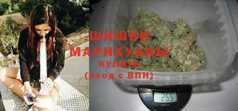 купить наркоту  Новошахтинск  Конопля Ganja 